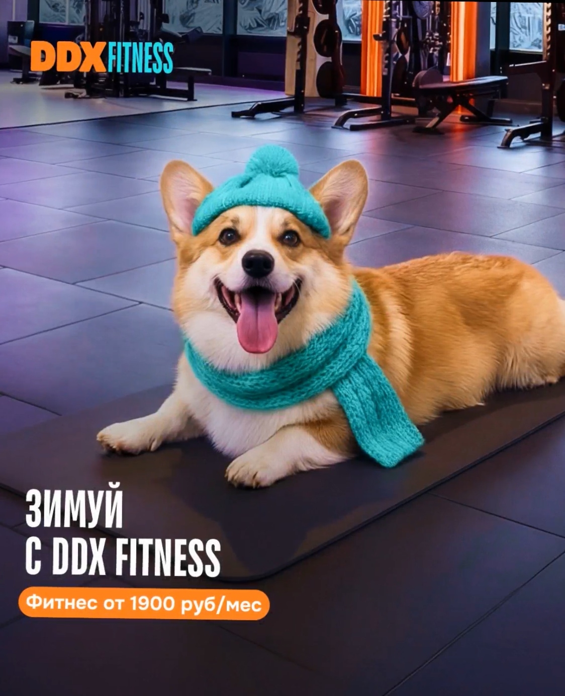 ТОРГОВЫЙ ЦЕНТР  МОКИ